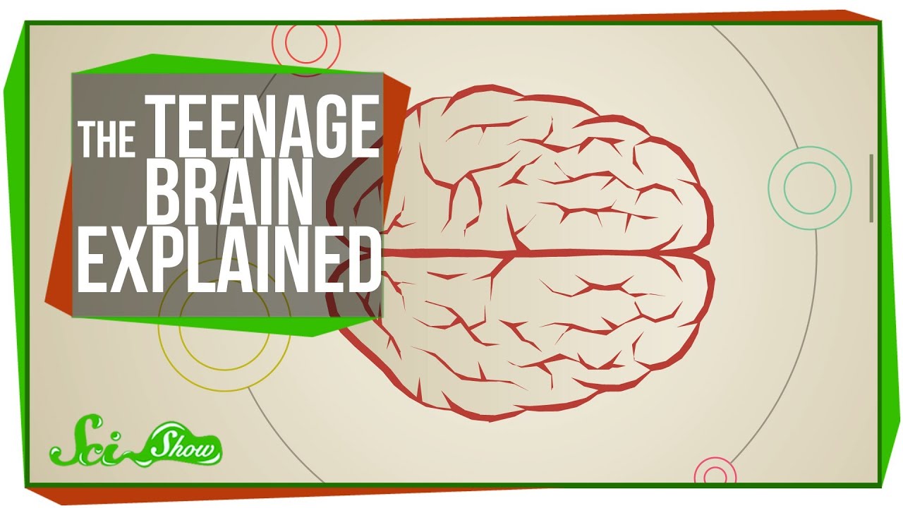 Read more about the article Parental Workshop ‘Understanding the teenage brain’